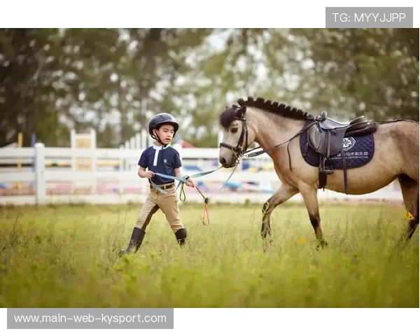 青少年马术训练课程引入心理素质培养环节，少儿马术培训